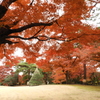 殿ヶ谷戸庭園2