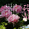 年賀8