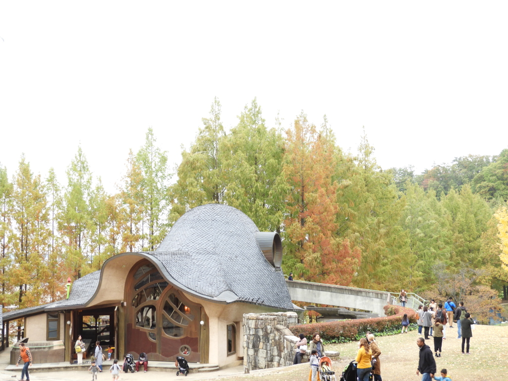 あけぼの子どもの森公園12