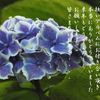 年末のご挨拶15