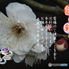 年賀18