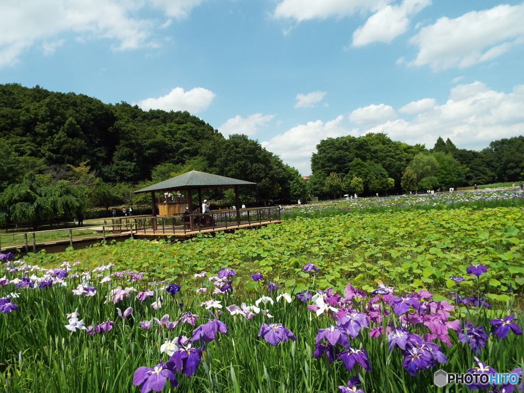 北山公園