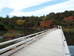紅葉の日本庭園34