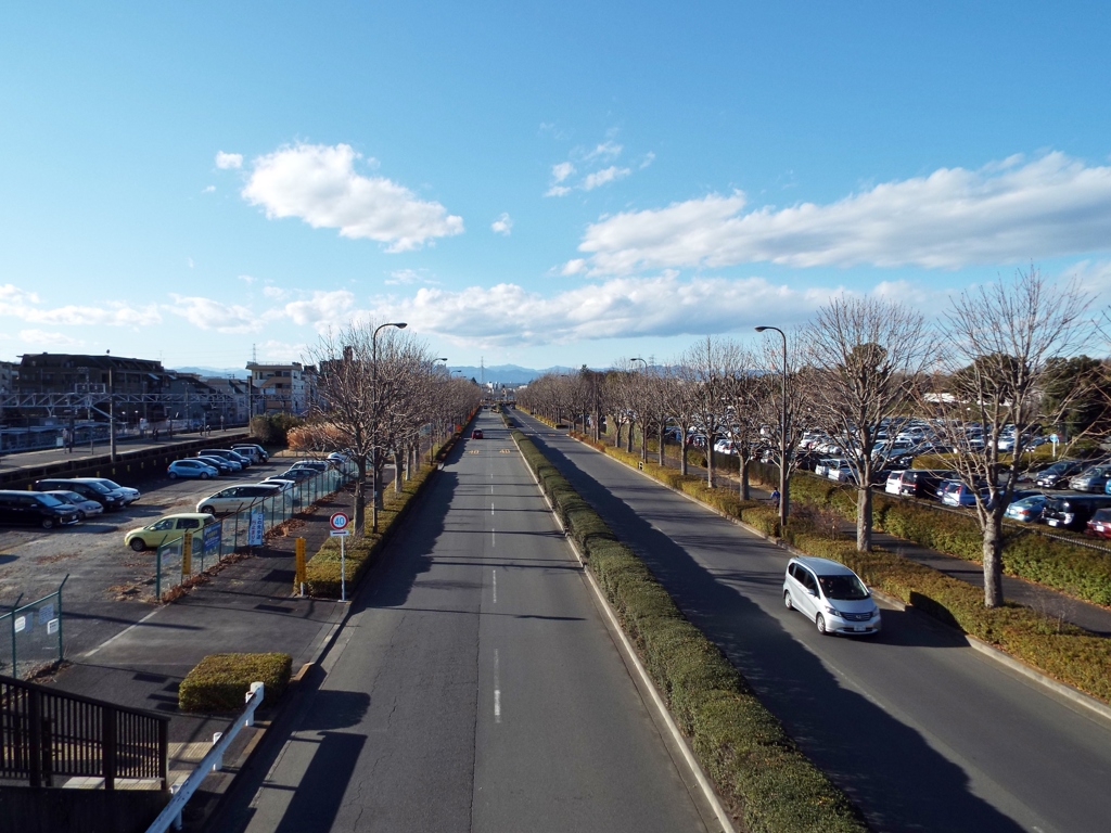 昭和記念公園1