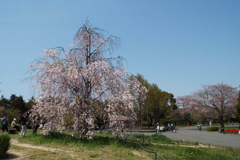 DSCF0105