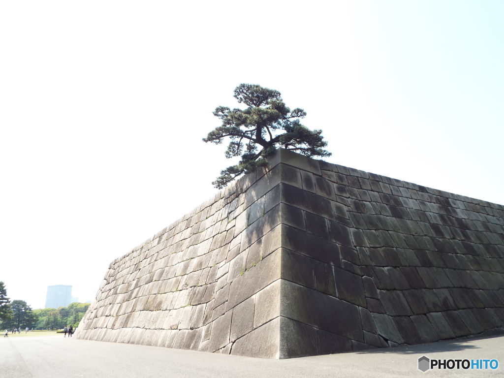 皇居東御苑3