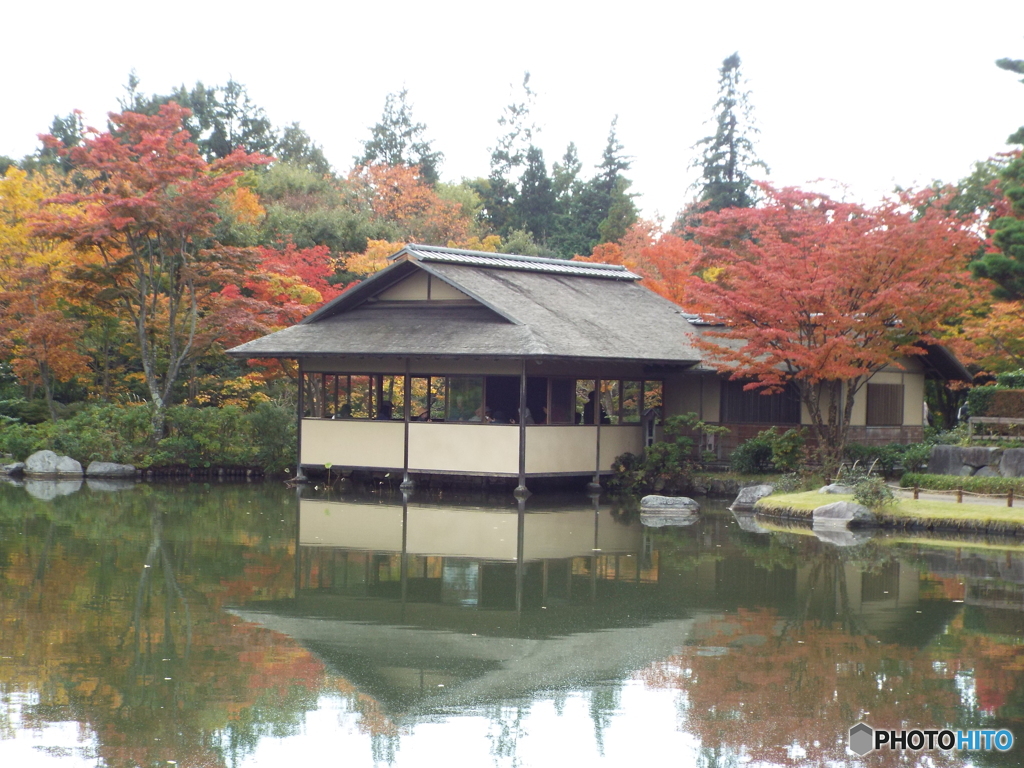 紅葉の日本庭園17