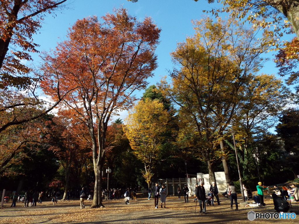 井の頭恩賜公園20