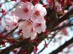 陽光1