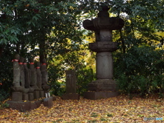 天岑寺7