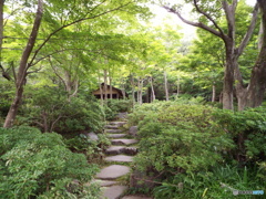日本庭園12