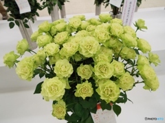 薔薇11