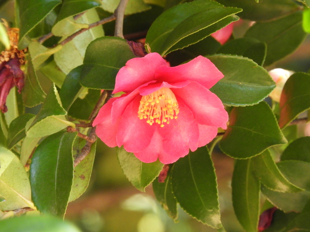DSCN0325