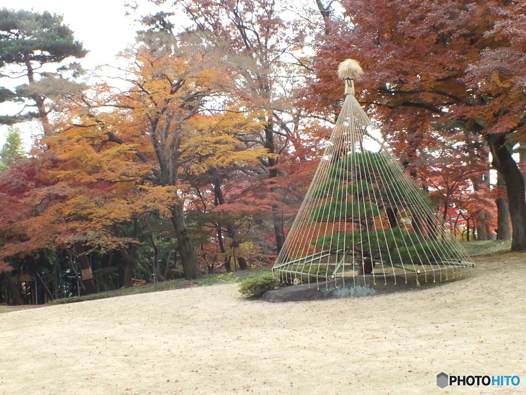 秋の殿ヶ谷戸庭園17