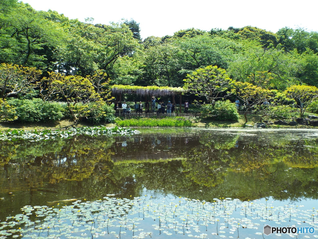 皇居東御苑9