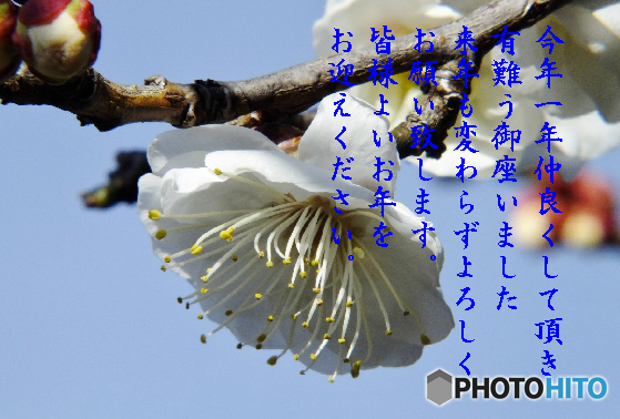 年末10