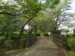 初秋の智光山公園散策13