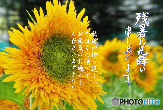 残暑9