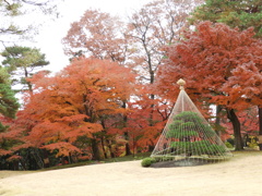 殿ヶ谷戸庭園16