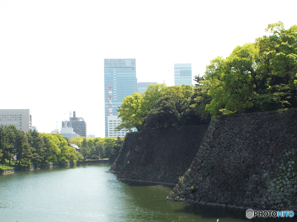 皇居東御苑1