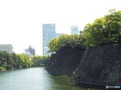 皇居東御苑1