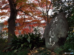 天岑寺9