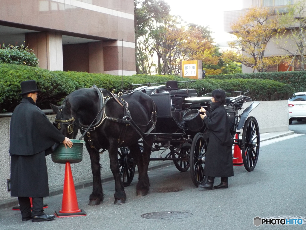 馬車