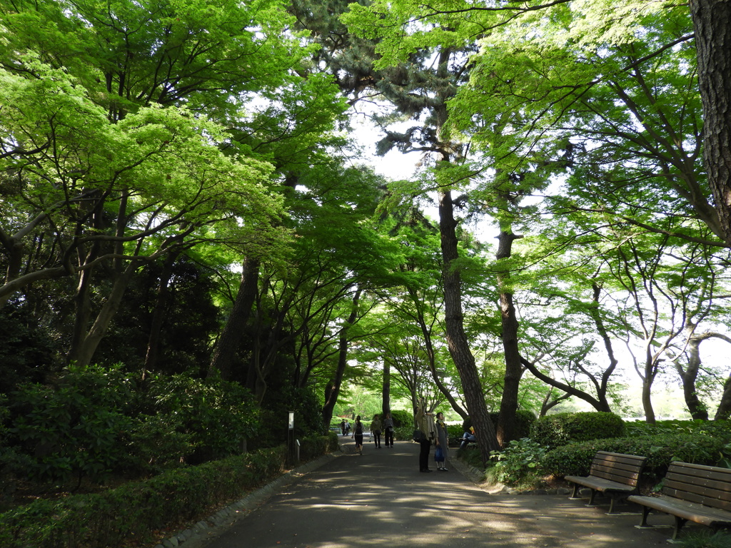 皇居東御苑13