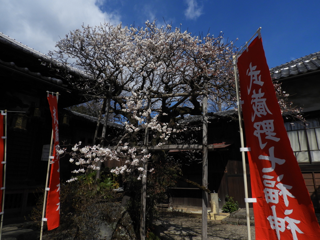 観音寺5