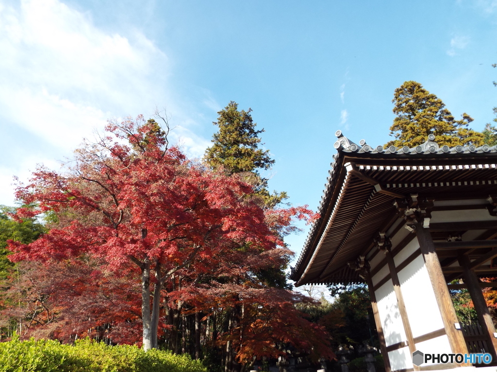 能仁寺2