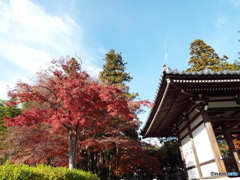 能仁寺2