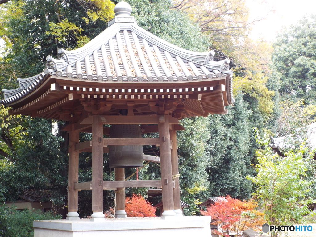 天岑寺8