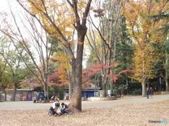 井の頭恩賜公園1