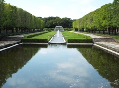 カナール広場の噴水と銀杏