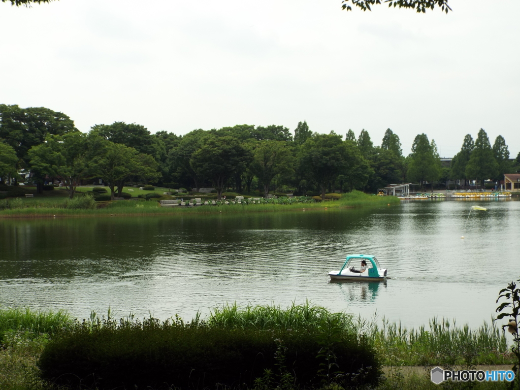 深緑の昭和記念公園7