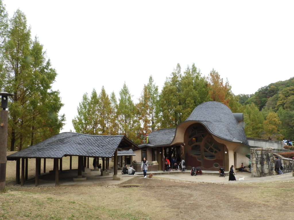 あけぼの子どもの森公園10