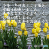 年末9