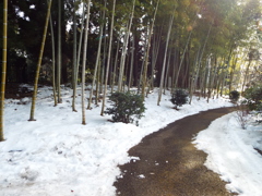 残雪の日本庭園11