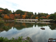 紅葉の日本庭園7