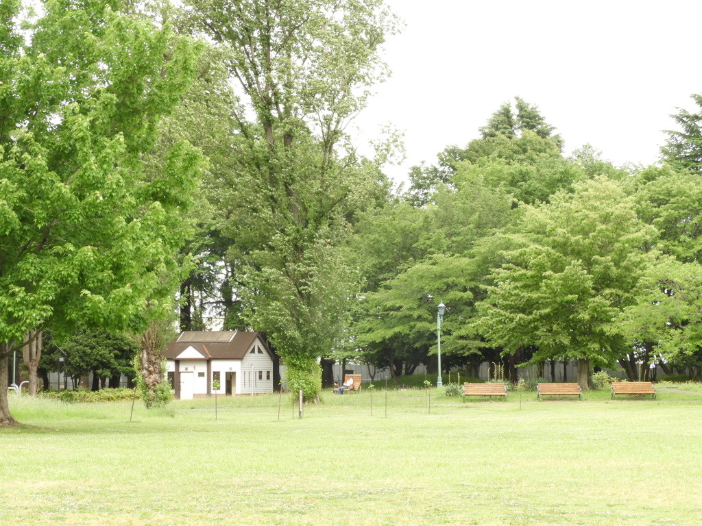 彩の森入間公園7