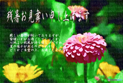 残暑15