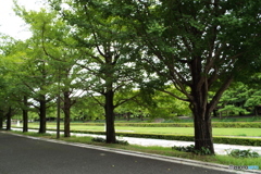 カナール広場4