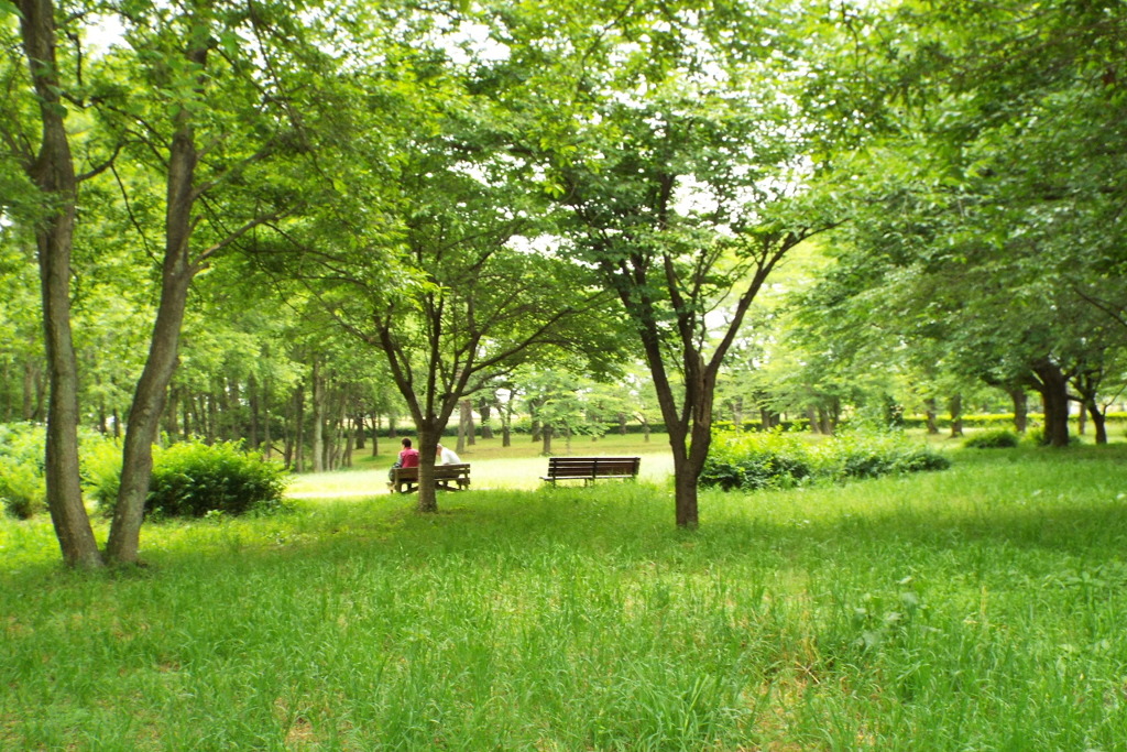 ベンチのある風景10