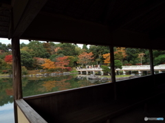 紅葉の日本庭園10