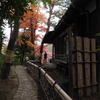 殿ヶ谷戸庭園13