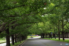 カナール広場8