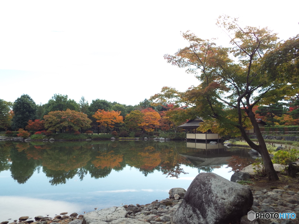 紅葉の日本庭園18