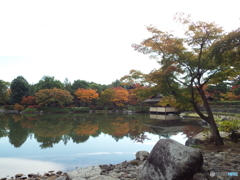 紅葉の日本庭園18