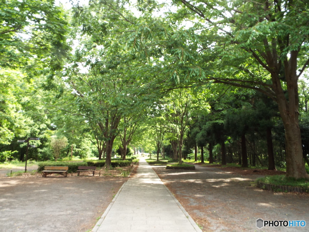 智光山公園1