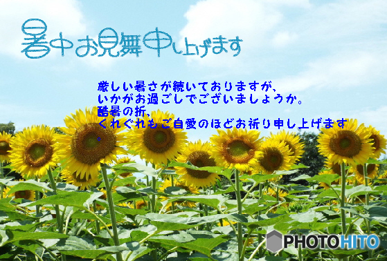 暑中1